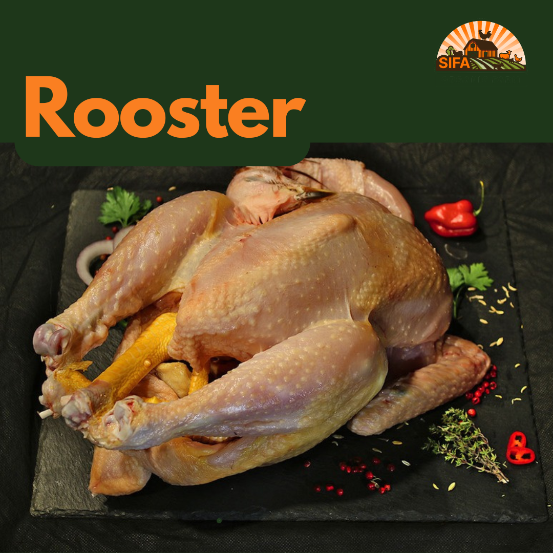 Whole Rooster Chicken for Deliver and Pickup – Fresh & Large Size