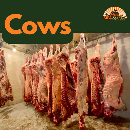 Sifa Farm Fresh Cow Share